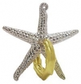 Łamigłówka Cast Starfish